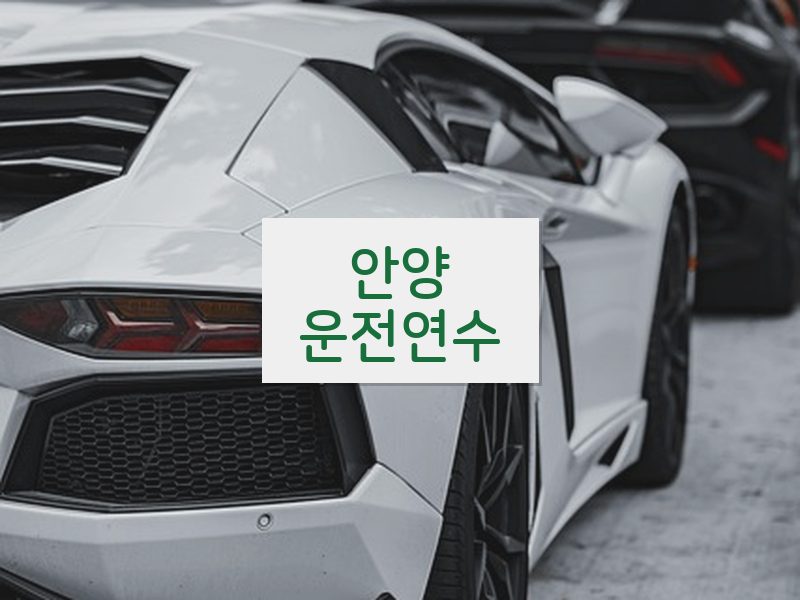 안양운전연수 후기