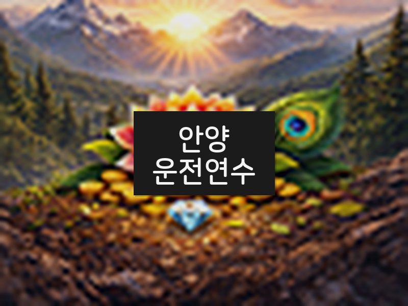 안양운전연수 후기