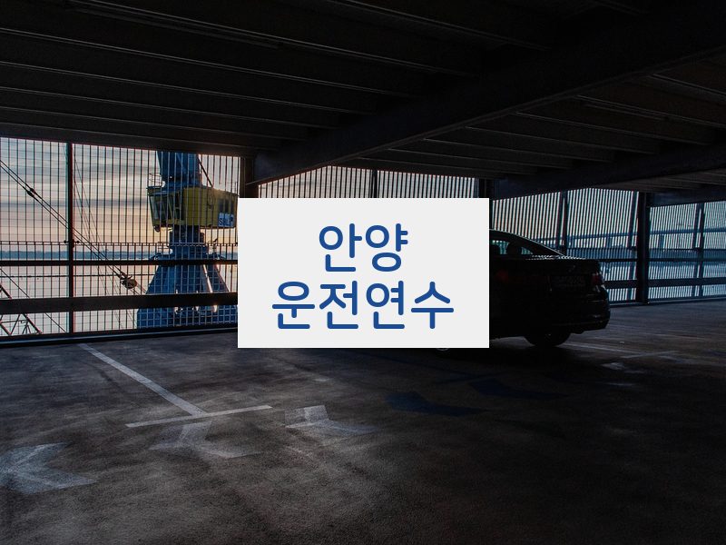 안양운전연수 후기