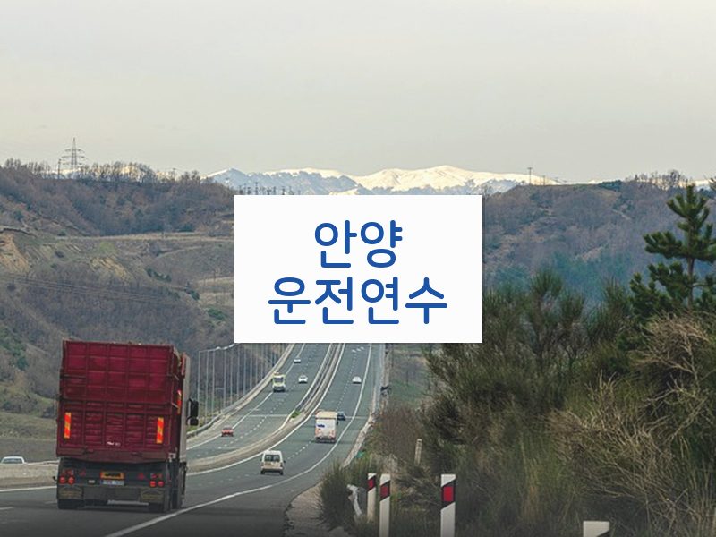 안양운전연수 후기
