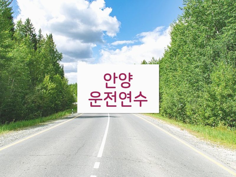 안양운전연수 후기