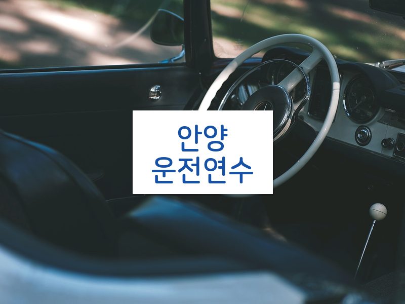 안양운전연수 후기