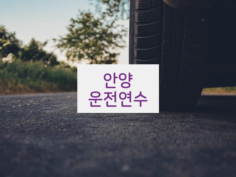 안양운전연수 후기