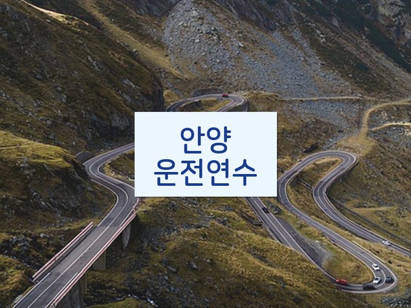 안양운전연수 후기