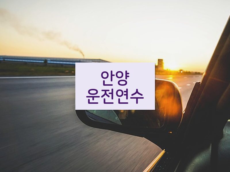 안양운전연수 후기