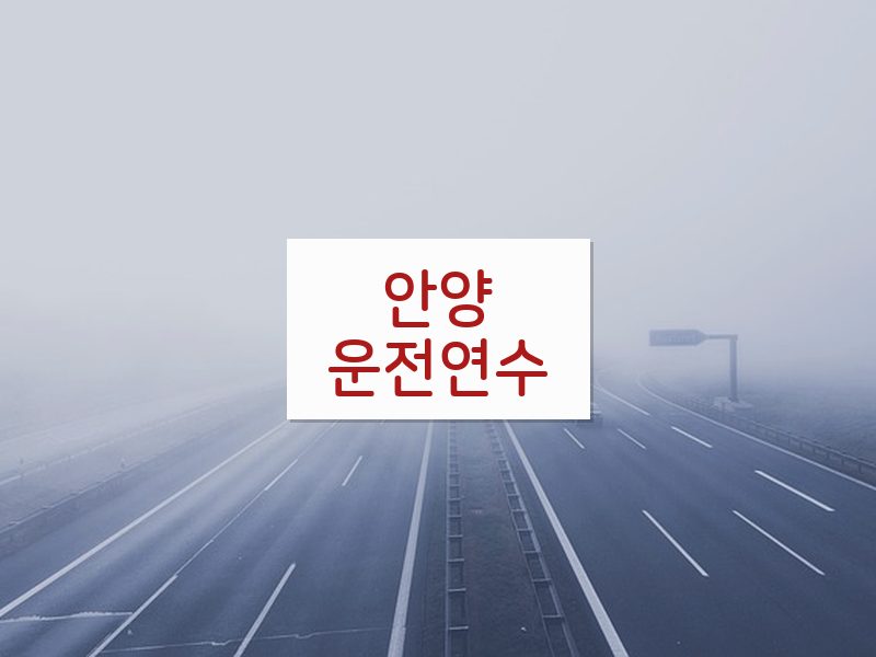 안양운전연수 후기