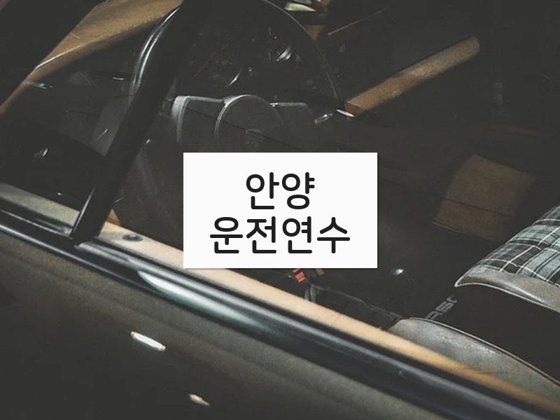 안양운전연수 후기