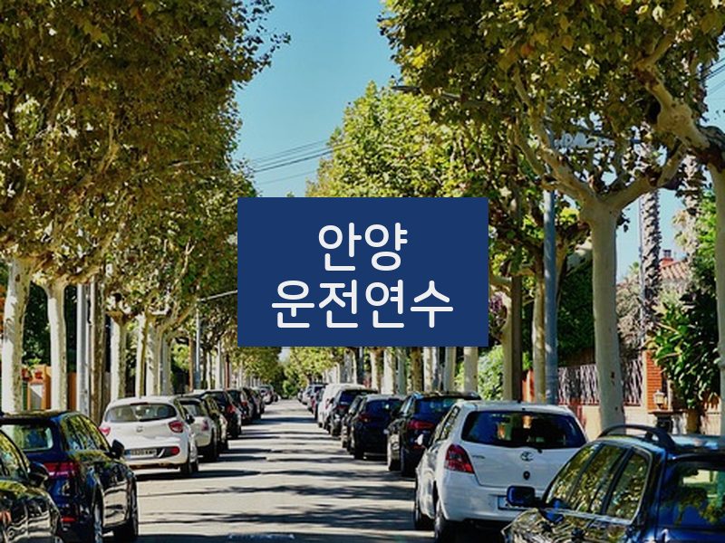 안양운전연수 후기