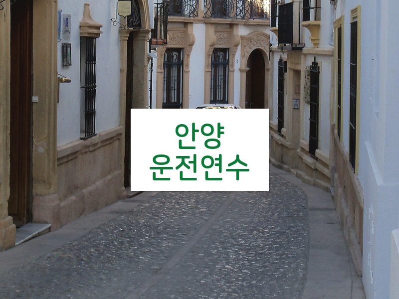 안양운전연수 후기