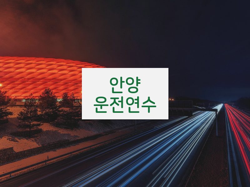 안양운전연수 후기