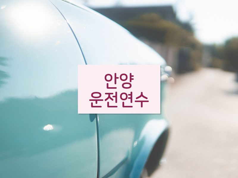 안양운전연수 후기