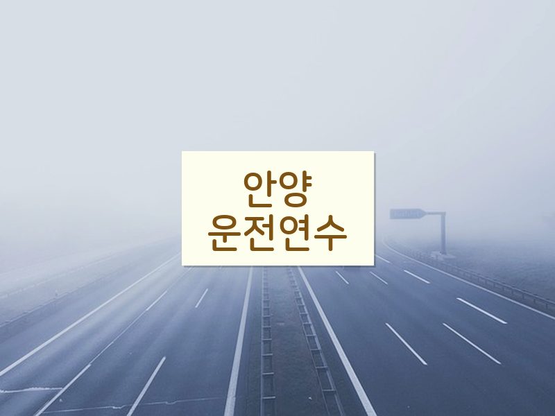 안양운전연수 후기