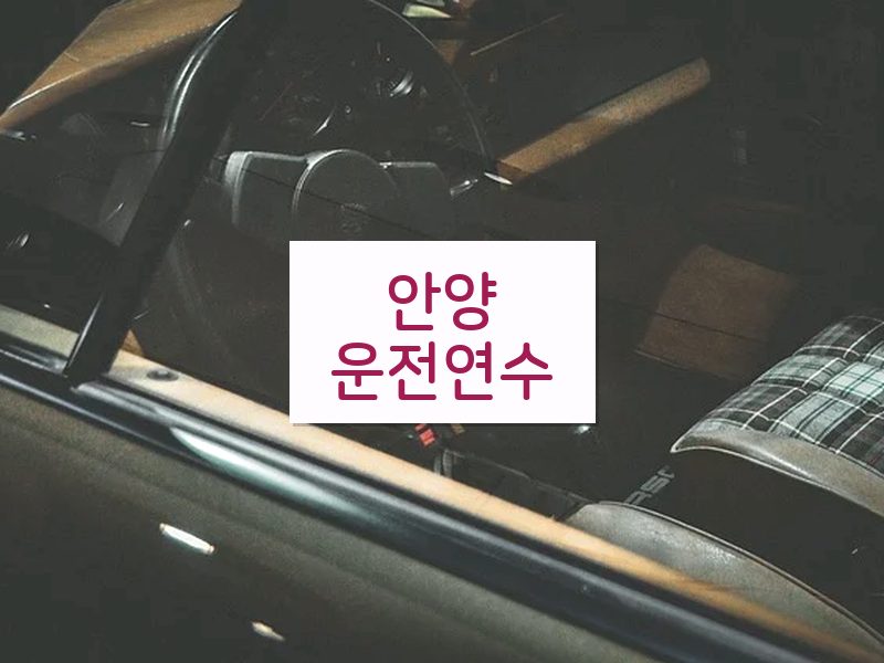 안양운전연수 후기