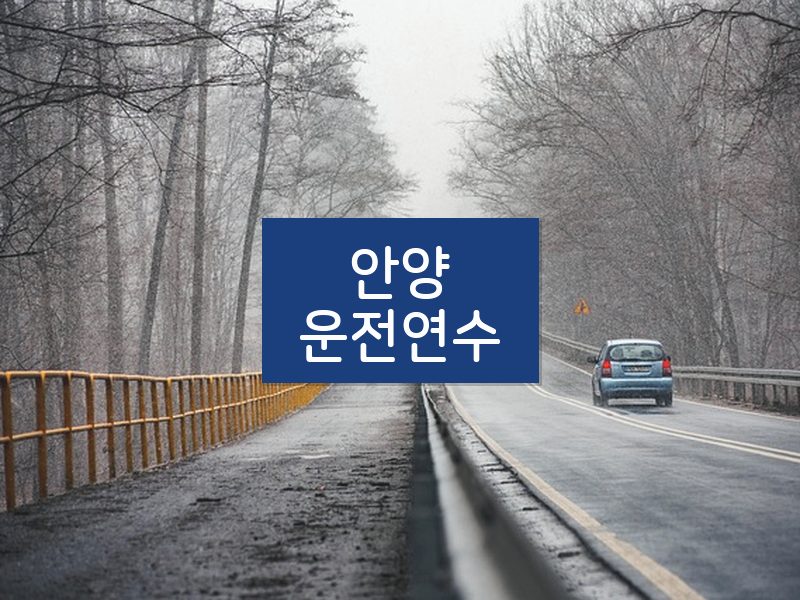 안양운전연수 후기