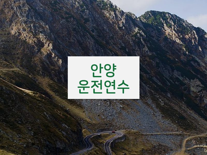 안양운전연수 후기