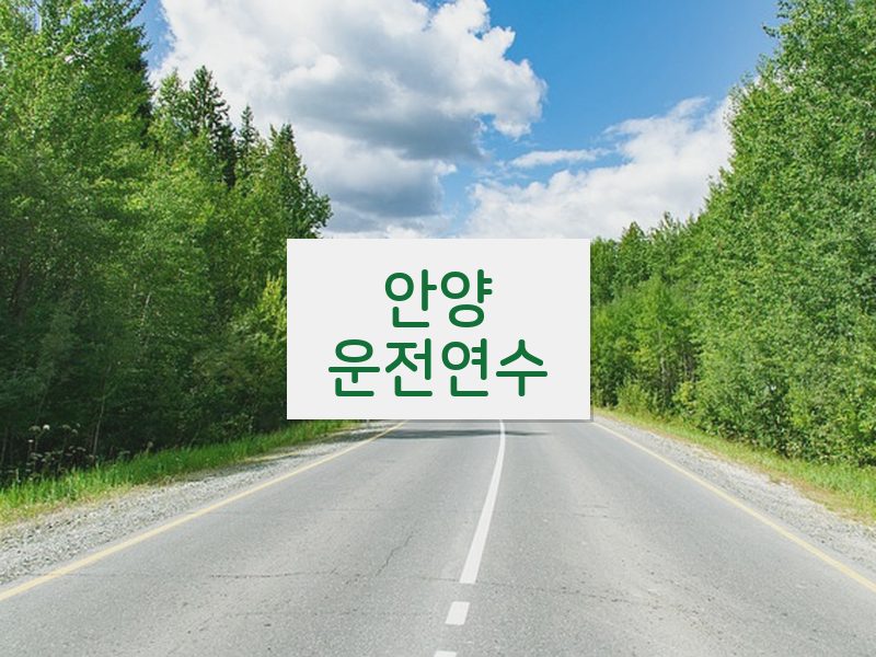 안양운전연수 후기
