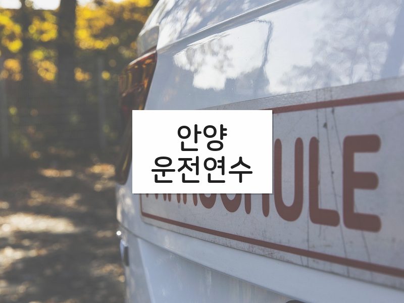 안양운전연수 후기