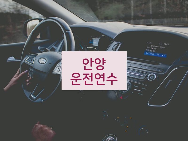 안양운전연수 후기