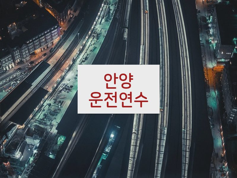 안양운전연수 후기