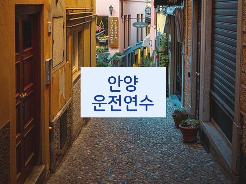 안양운전연수 후기