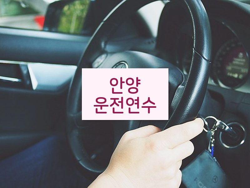 안양운전연수 후기