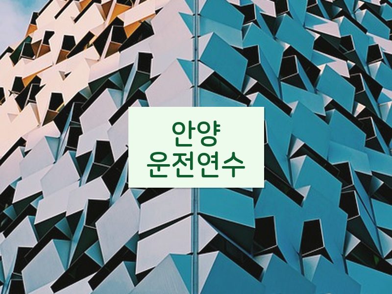 안양운전연수 후기