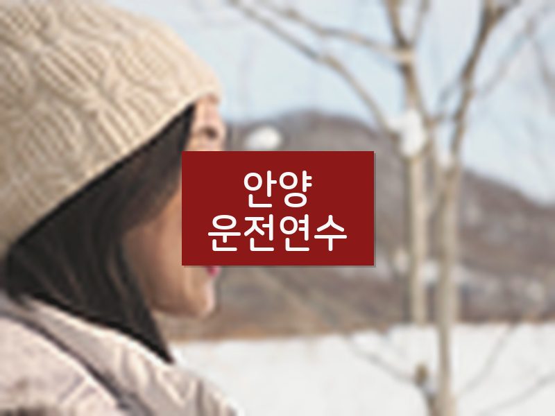 안양운전연수 후기