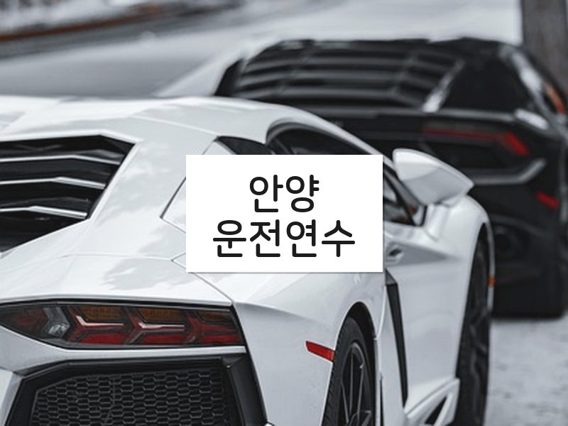 안양운전연수 후기