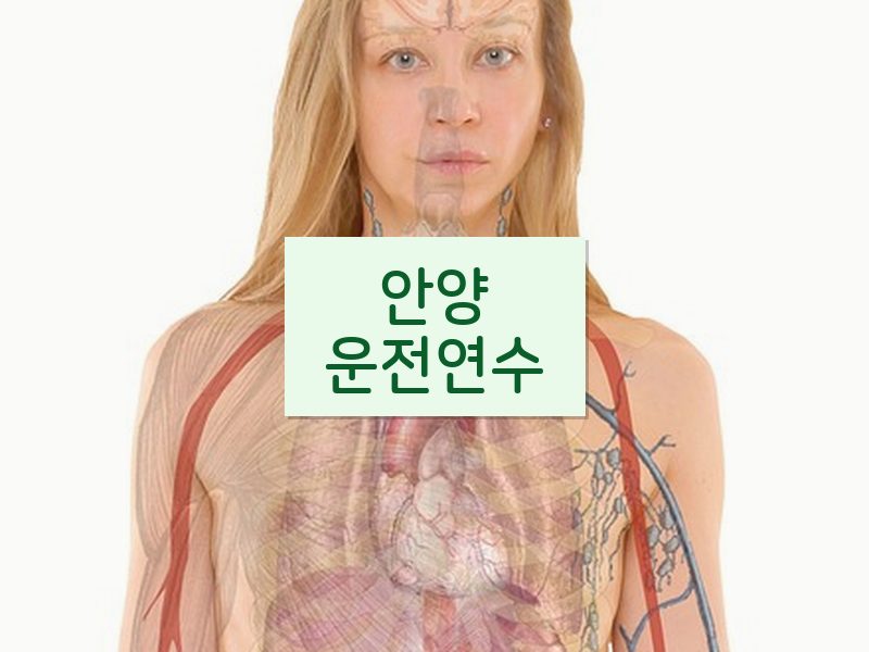안양운전연수 후기