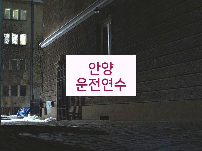 안양운전연수 후기