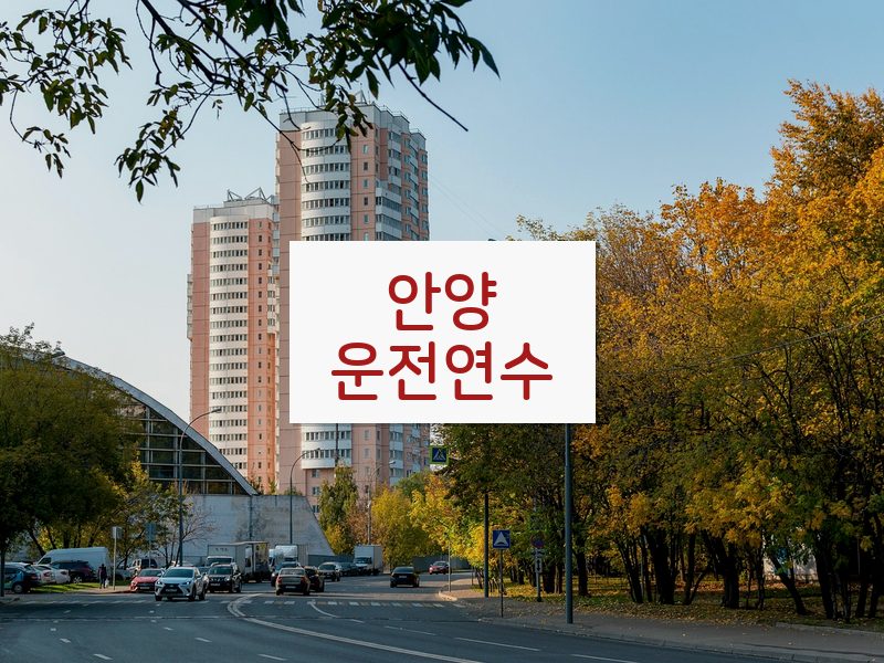 안양운전연수 후기
