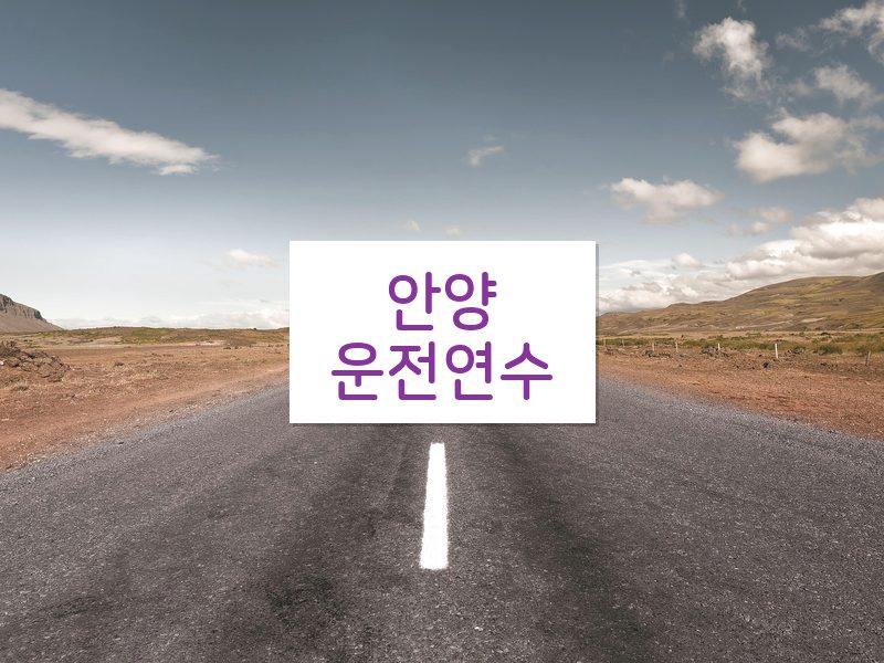 안양운전연수 후기