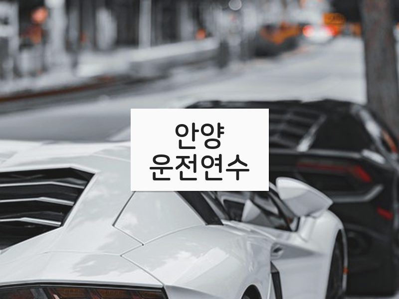 안양운전연수 후기