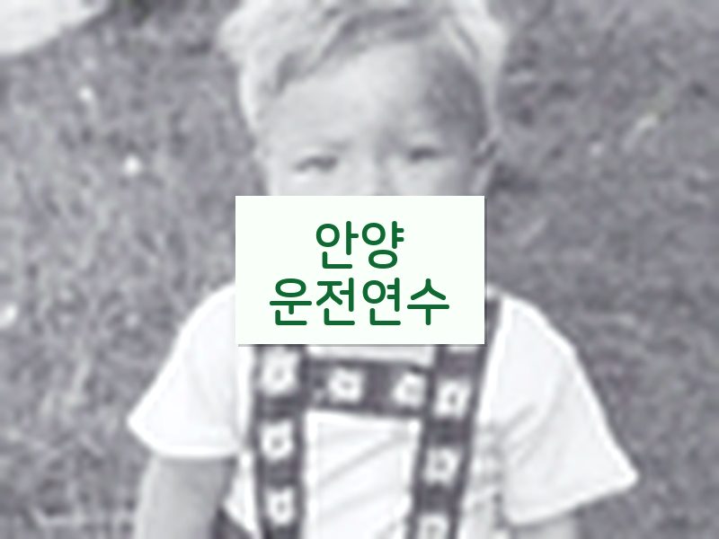 안양운전연수 후기