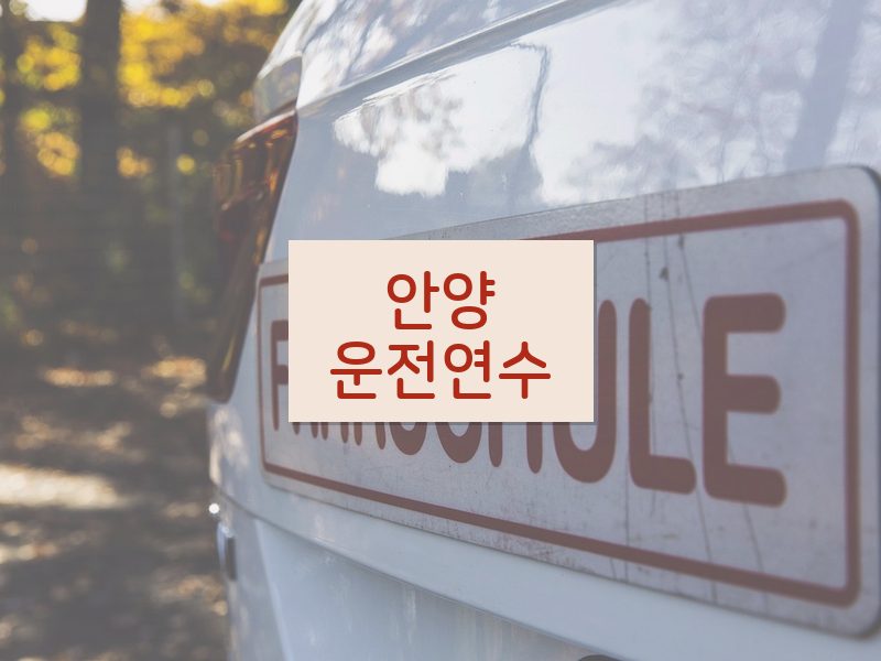 안양운전연수 후기