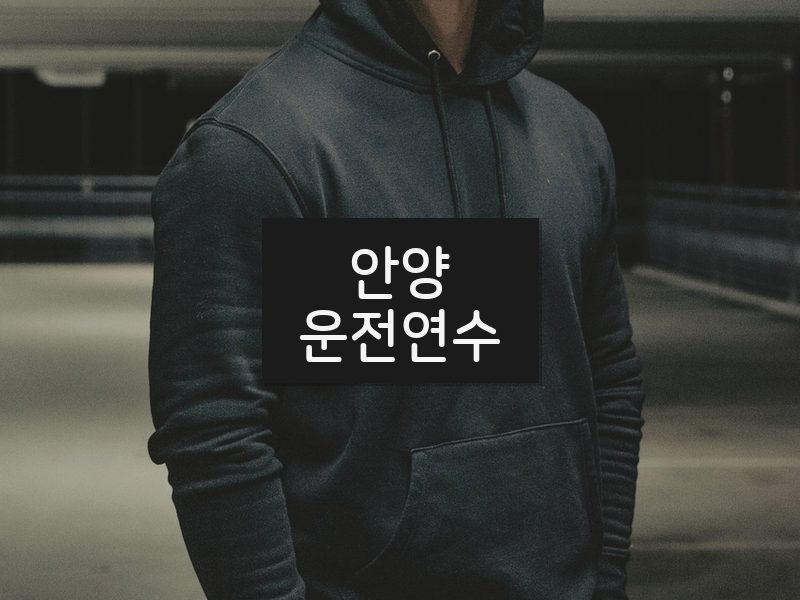 안양운전연수 후기
