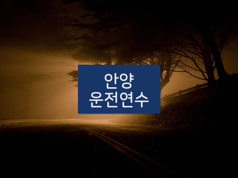 안양운전연수 후기