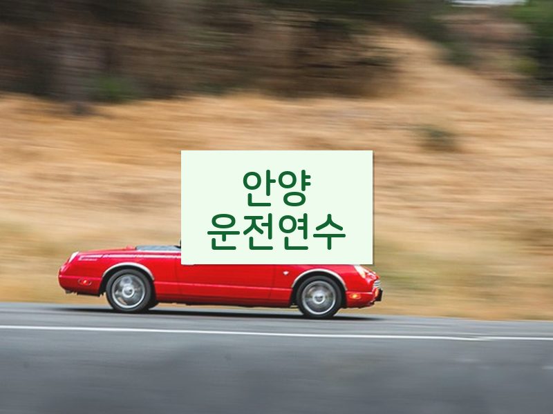 안양운전연수 후기