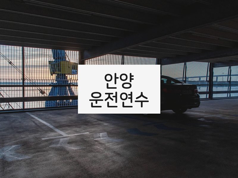 안양운전연수 후기