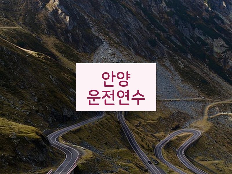 안양운전연수 후기