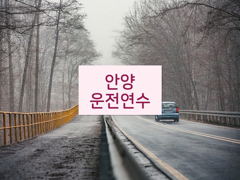 안양운전연수 후기