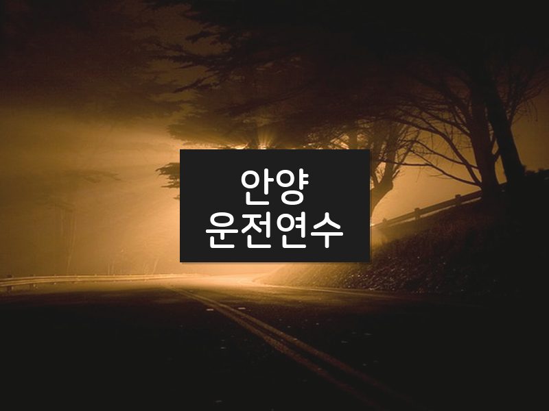 안양운전연수 후기