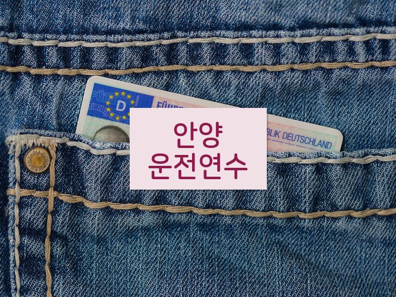 안양운전연수 후기