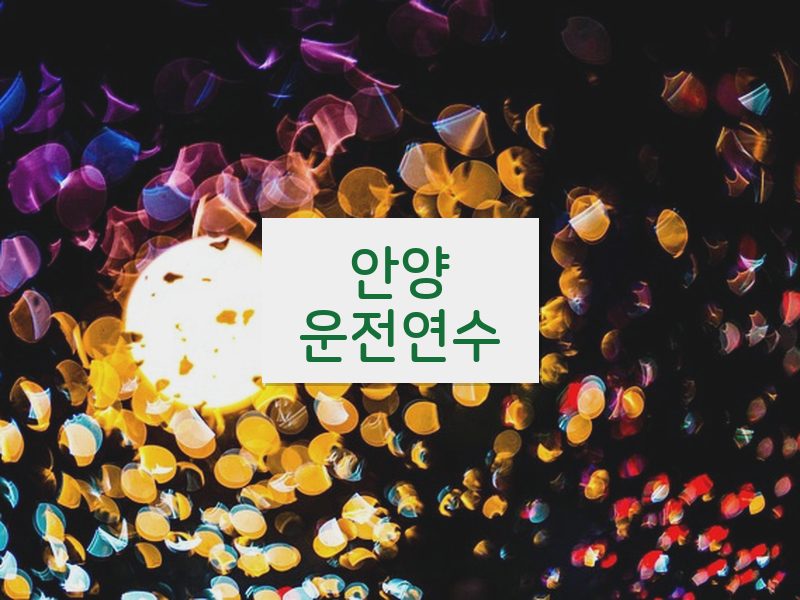 안양운전연수 후기