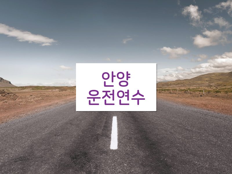 안양운전연수 후기