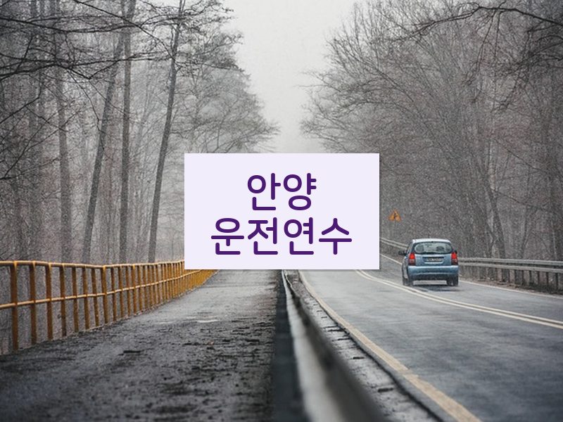 안양운전연수 후기