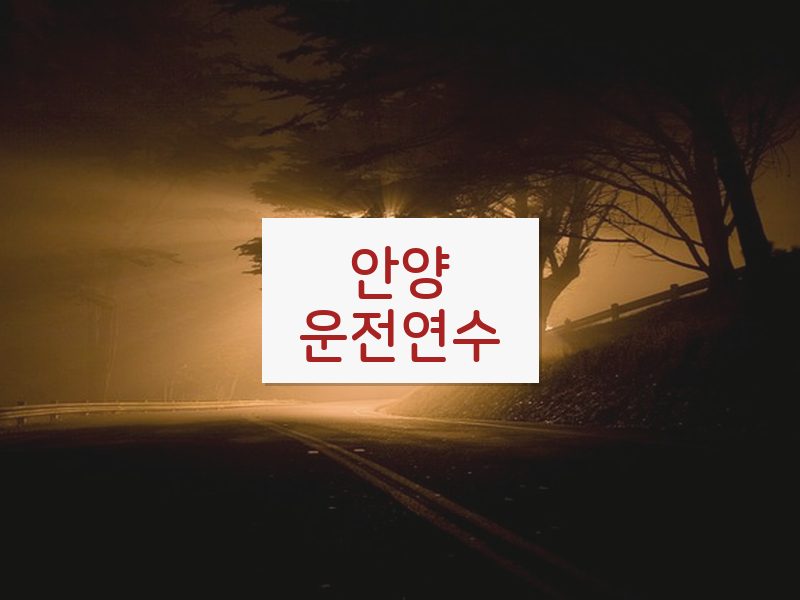 안양운전연수 후기