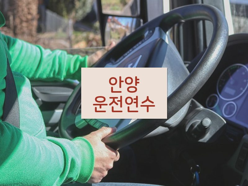 안양운전연수 후기