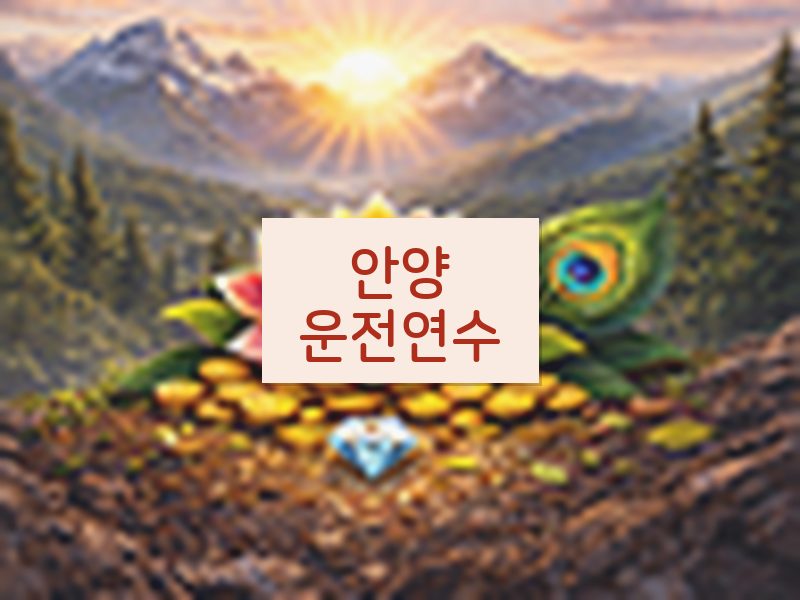 안양운전연수 후기