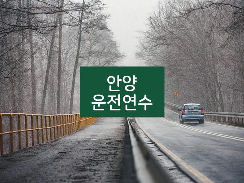 안양운전연수 후기